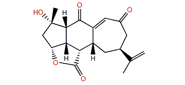 Scabrolide B